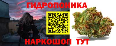 прущие крисы Татарск